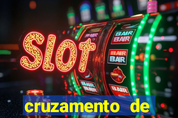 cruzamento de cavalo com jumenta globo rural